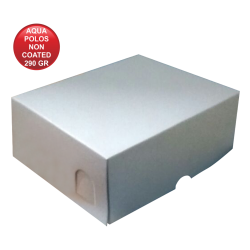 AQUA POLOS NON COTAED 290 
